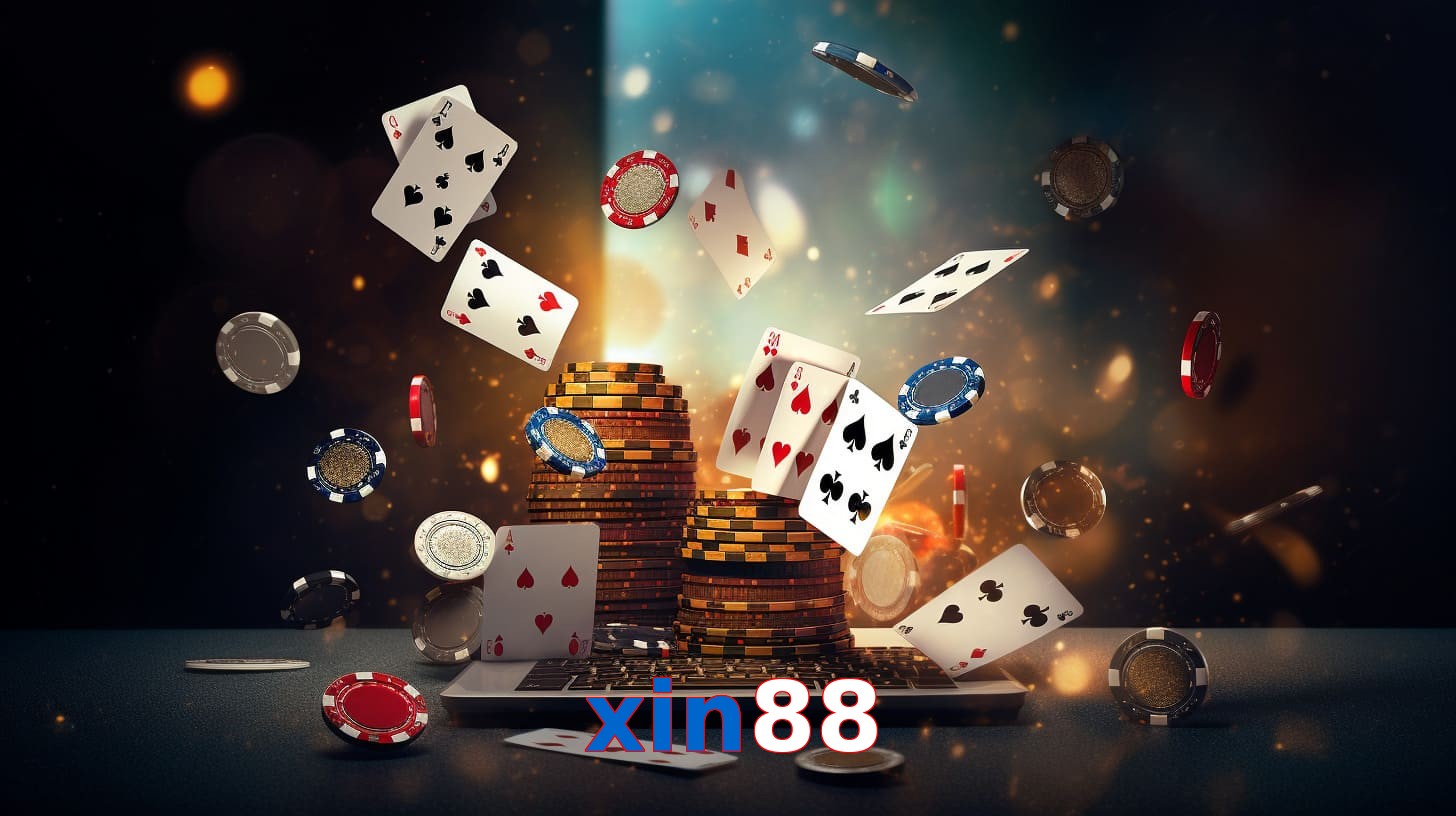 xin88