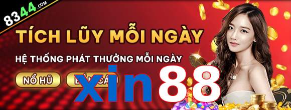 xin88