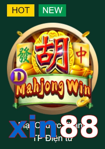 xin88