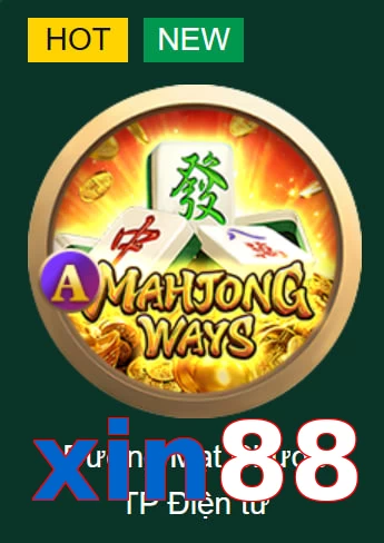 xin88