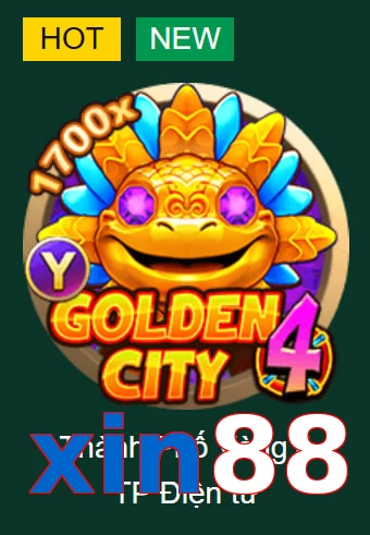 xin88