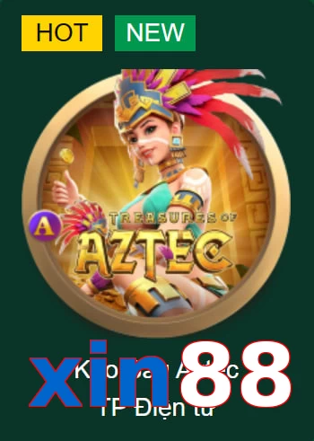 xin88