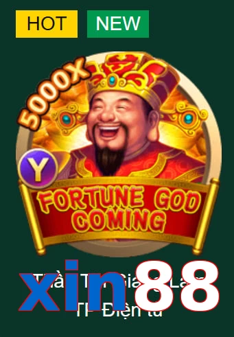 xin88